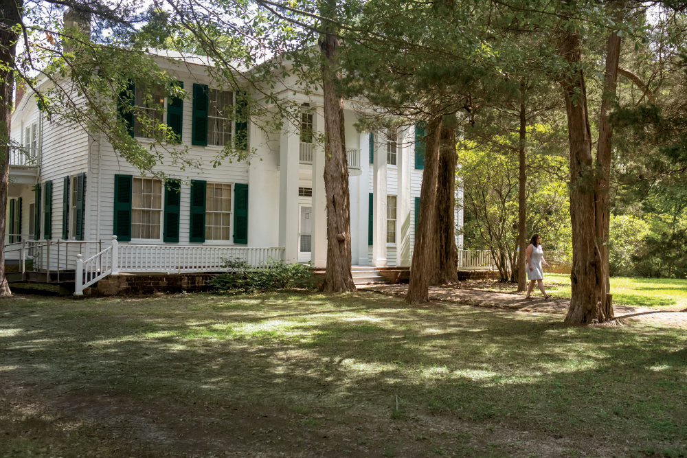 Rowan Oak