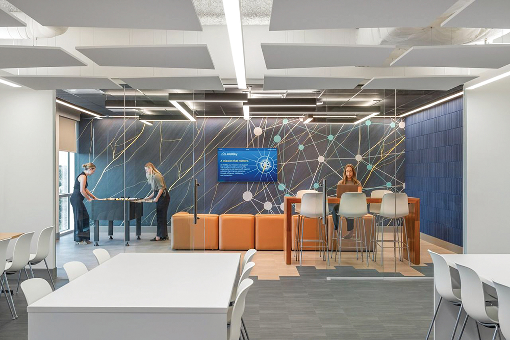 WellSky is a health care technology company in Overland Park, KS.