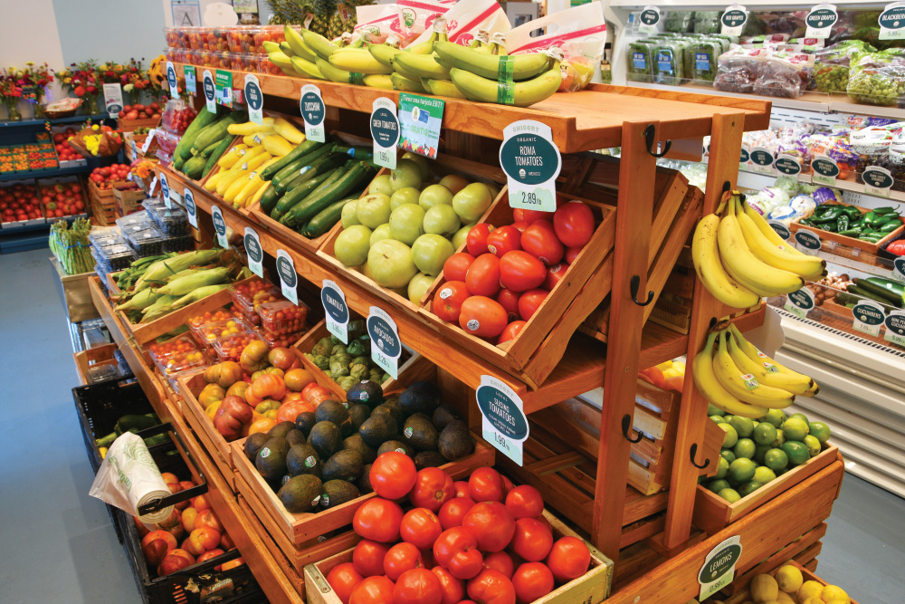 Chicory Market