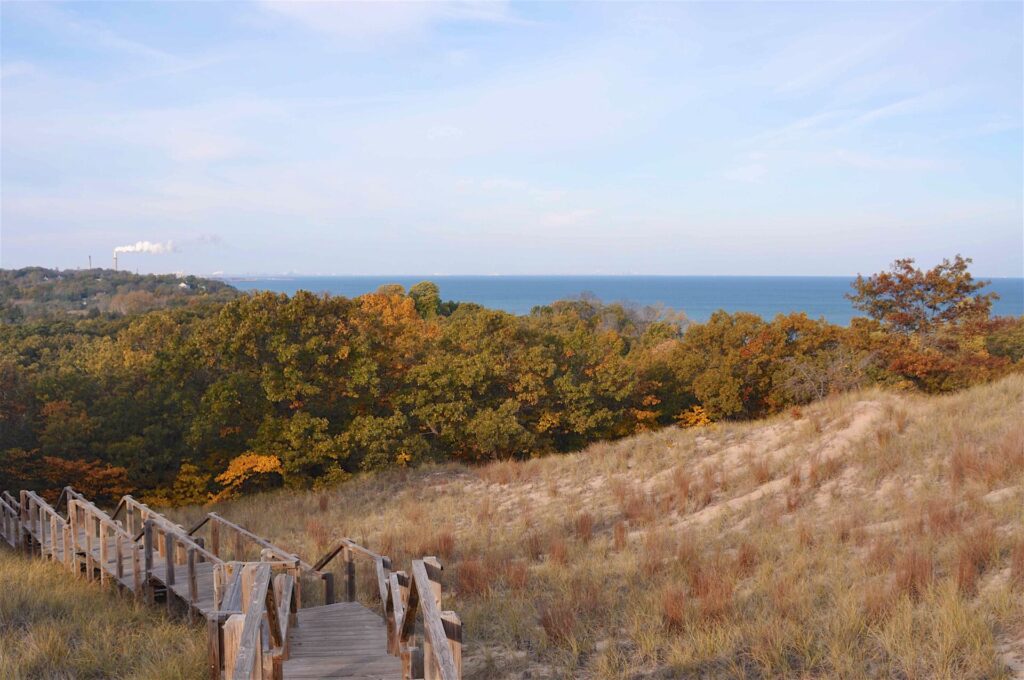Enjoy the vast variety of plant life, wildlife, swamps, and views fo this unique ecoenvironment.