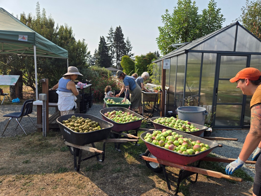 People working at the Shark Garden