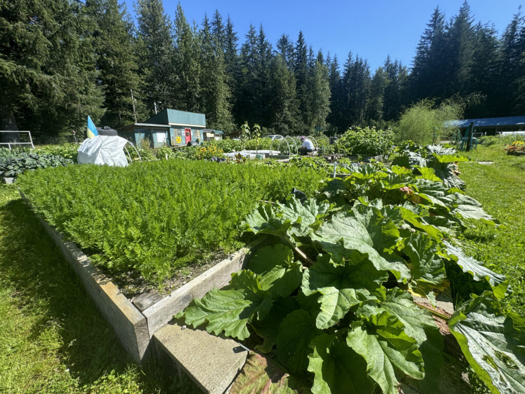 Image of the Juneau Community Garden Association in Alaska