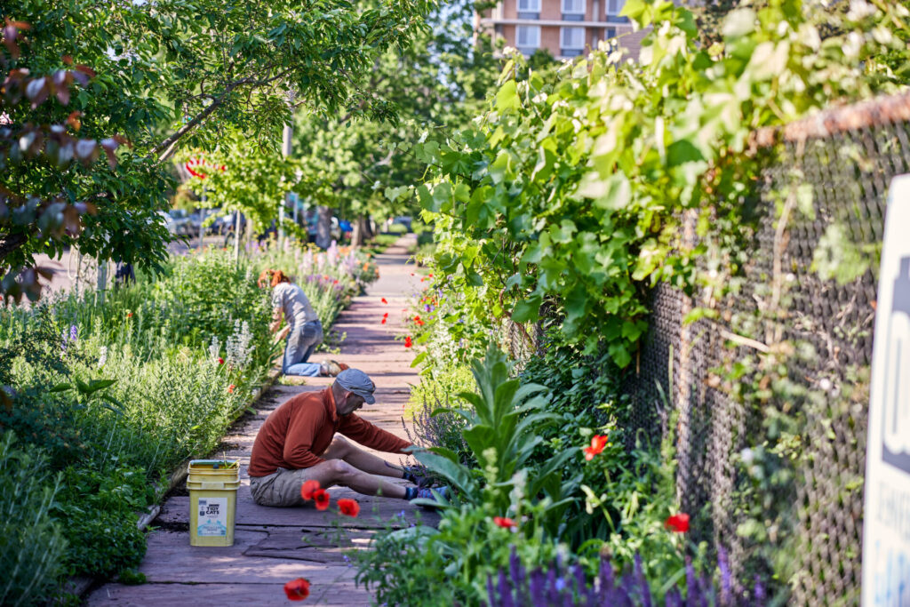 Denver Urban Gardens