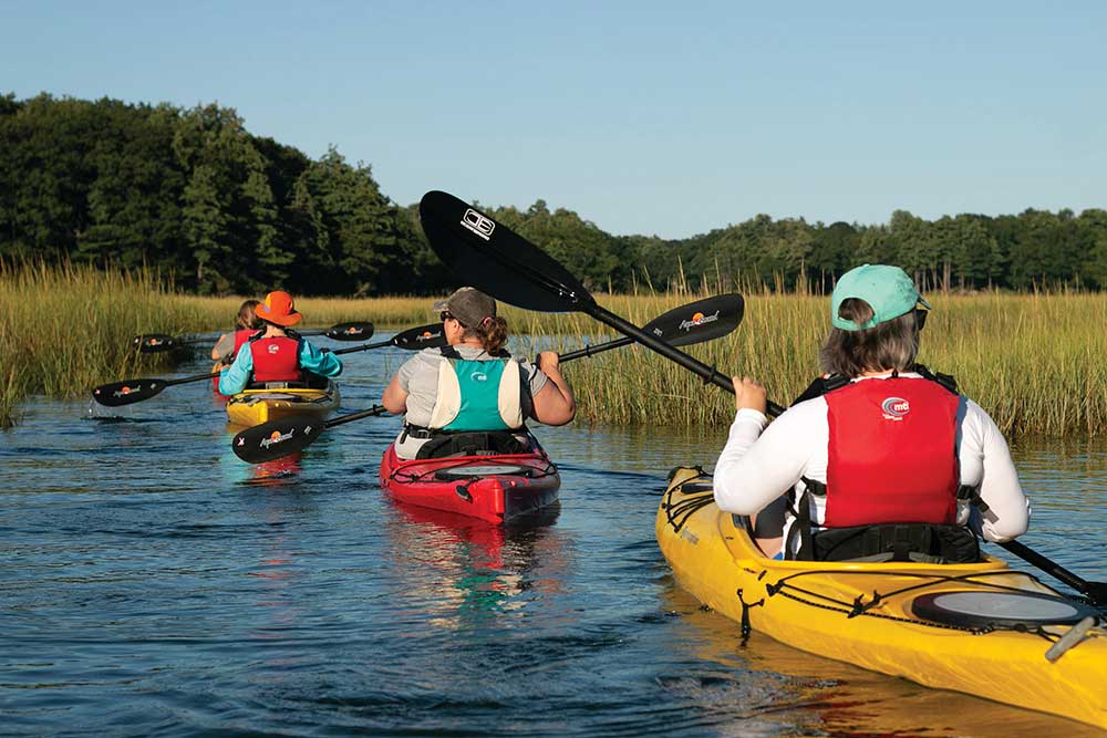 Wildlife Kayak Tour offered by SSC Marine Mammal Rescue in salt marsh at Odiorne Point State Park