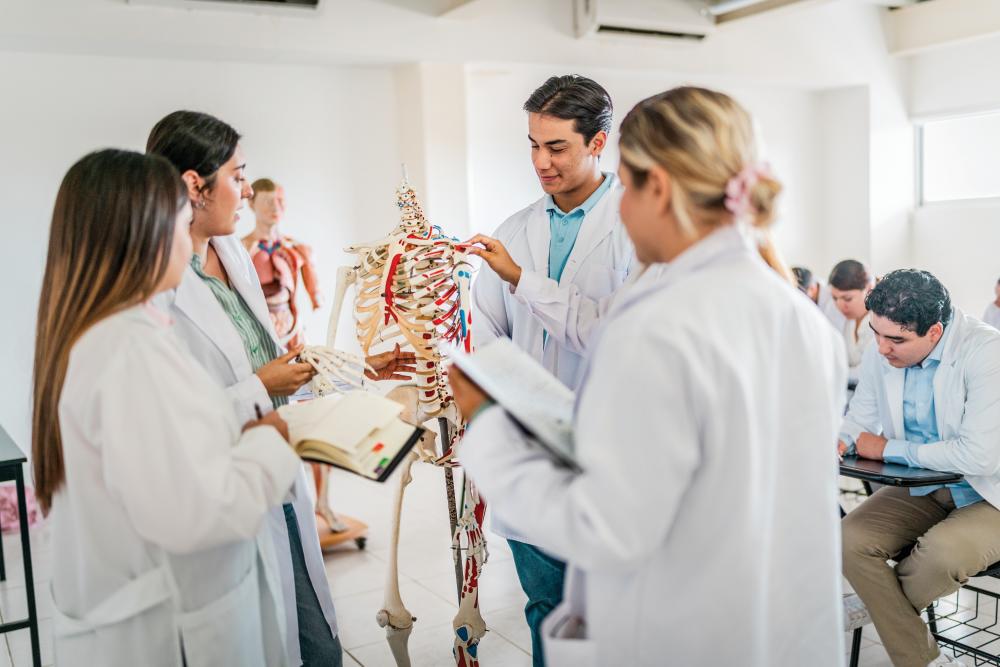 Young medical students studying about the human skeleton during at university