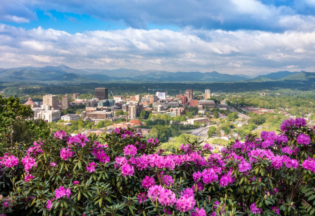 Spring time in Downtown Asheville overlooking city skyline with wild rhododendron flowers in foreground.