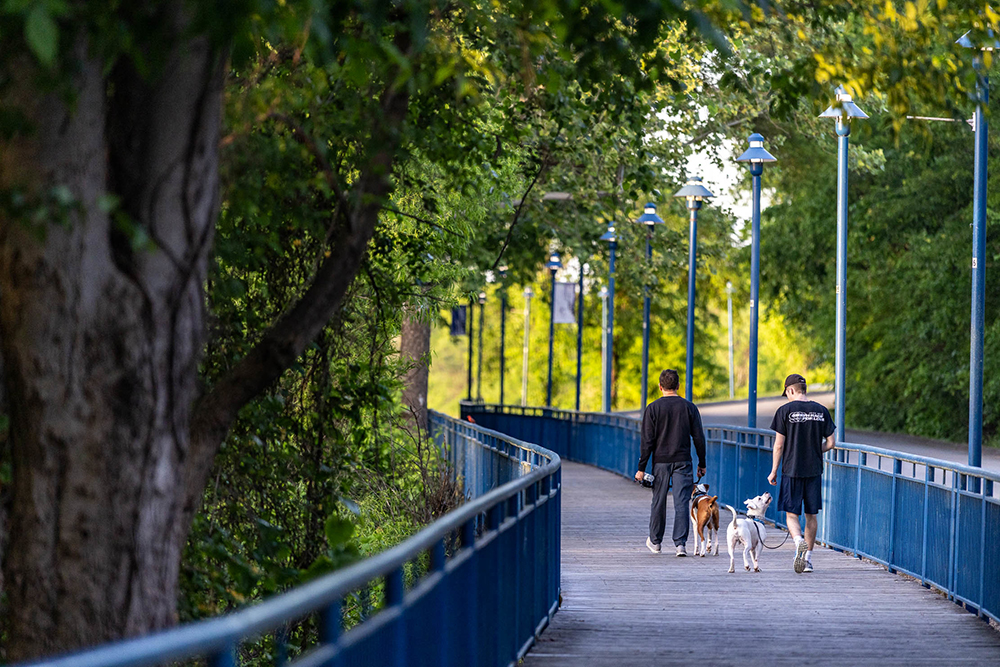 Residents walk their dogs on the Tennessee Riverwalk along the Tennessee River near downtown Chattanooga, Tennessee.