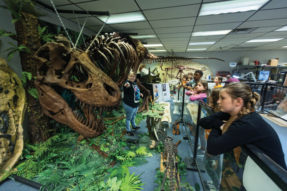 Earth Experience Museum in Murfreesboro