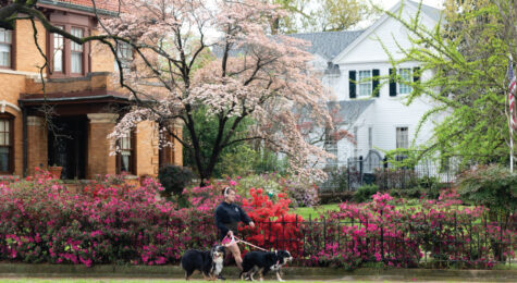 Azaleas and dogwood trees bloom along the Azalea Trail in neighborhoods in downtown Tyler, Texas.