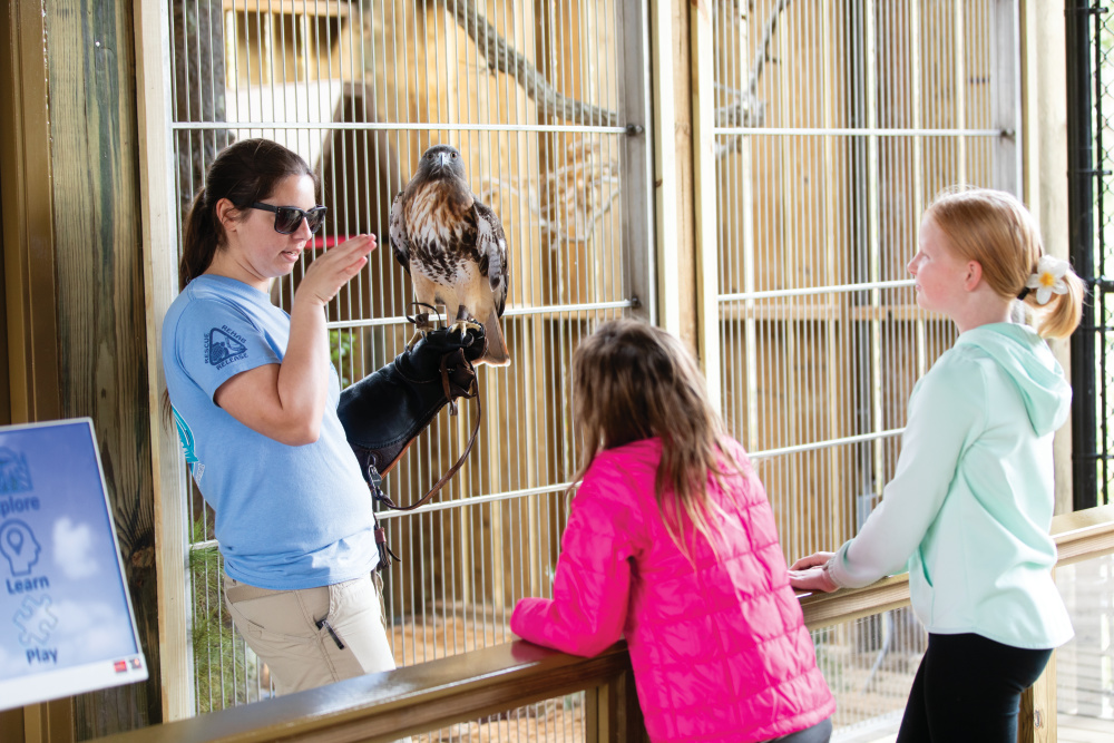 Children learn about a Red-Tailed Hawk at the Raptor Education and Conservation Exhibit at the Marine Science Center in Ponce Inlet.