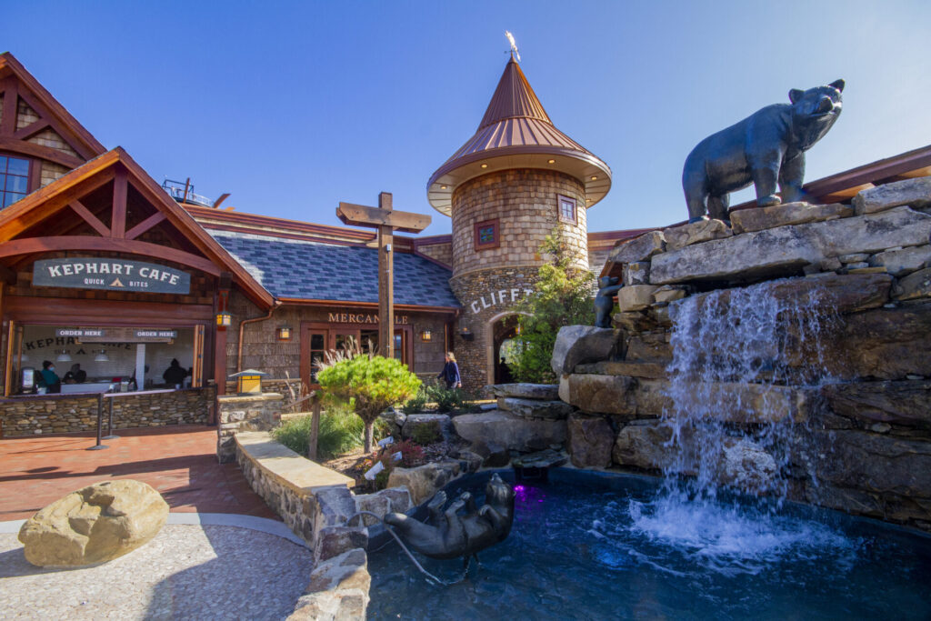 Black Bear Village