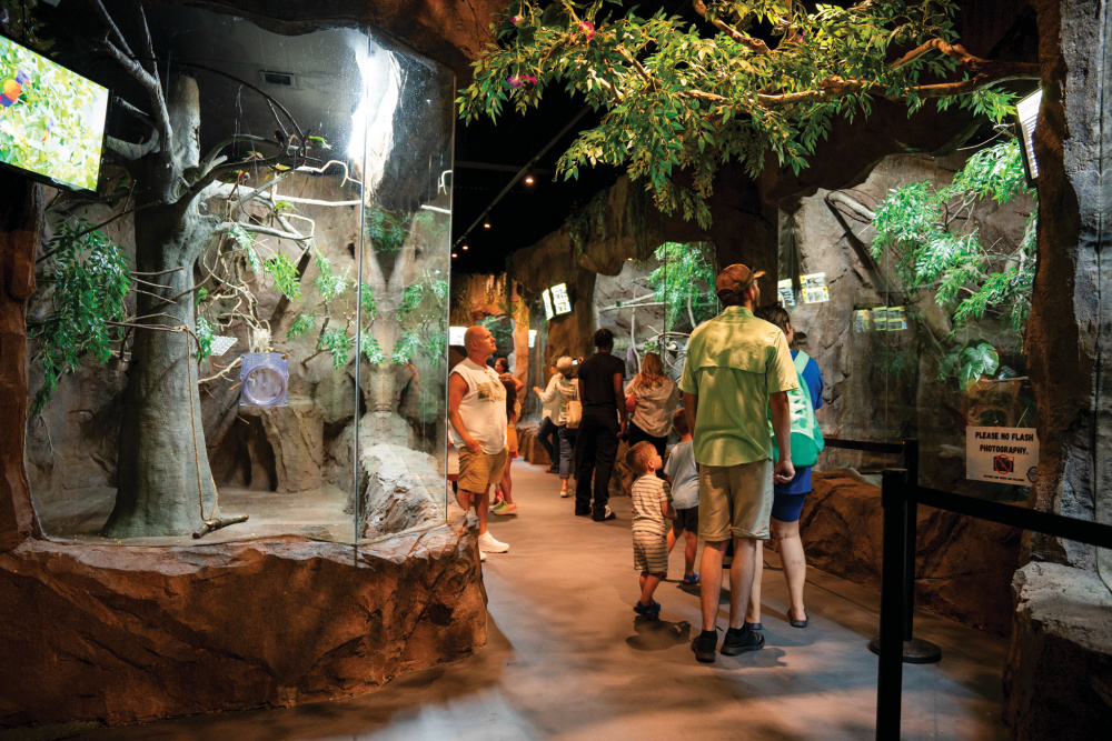 Daytona Aquarium & Rainforest Adventure
