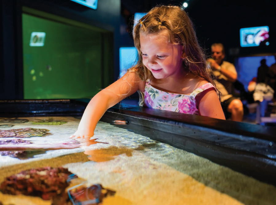 Daytona Aquarium & Rainforest Adventure