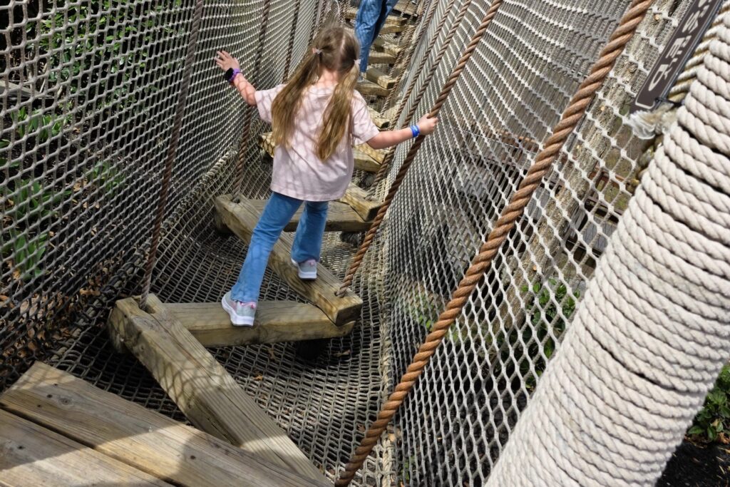 Inside the Treehouse Adventure Play Area and Challenge Course