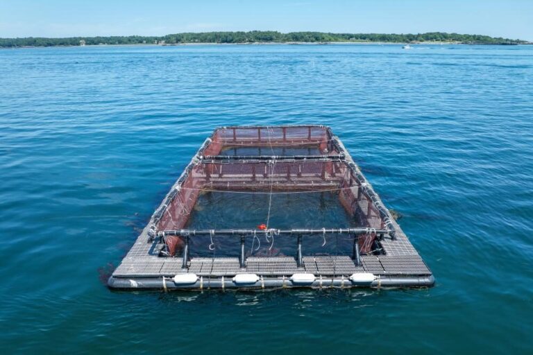 UNH's Aquafort