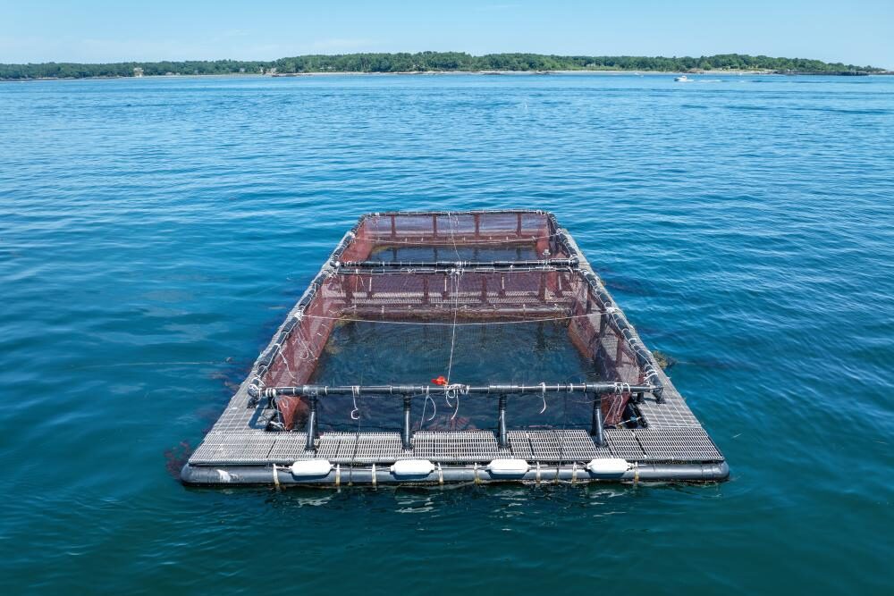 UNH's Aquafort
