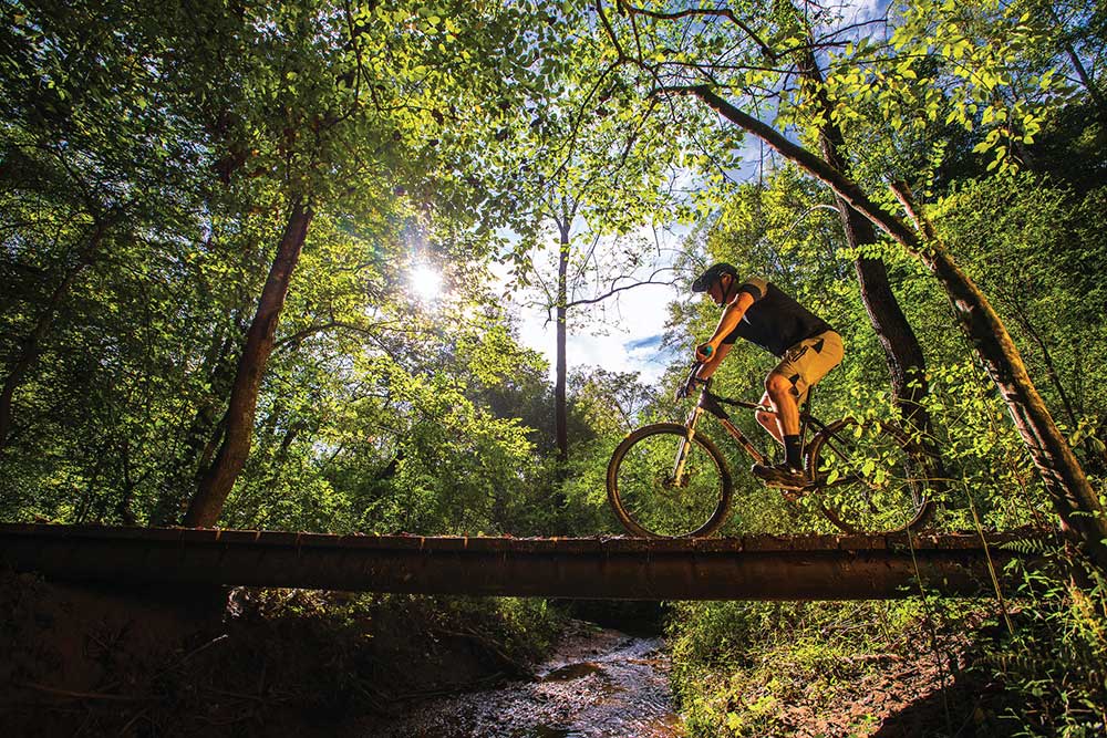 Surry County offers an ideal mix of charming downtowns, bountiful outdoor activities, shopping opportunities galore and stunning murals to discover and admire.