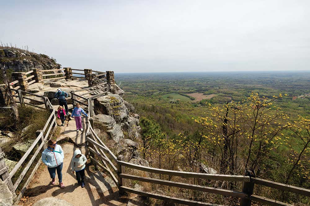 People walking on a flat dirt hiking trail through a dense green forest.