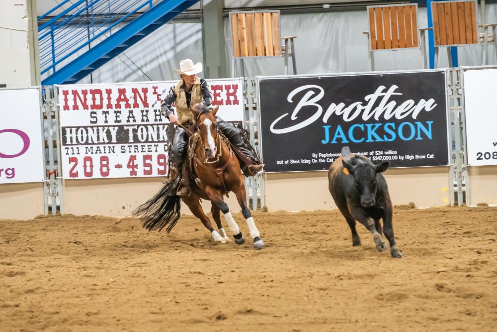 Idaho Reined Cow Horse Show 2022