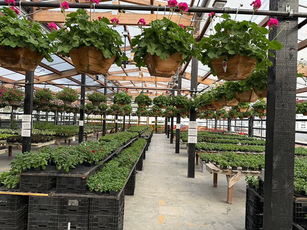 Knutson Farms