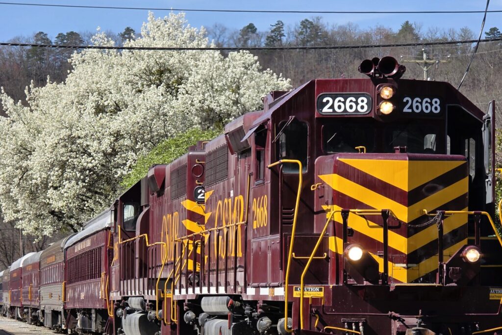 GSMR Deisel Train