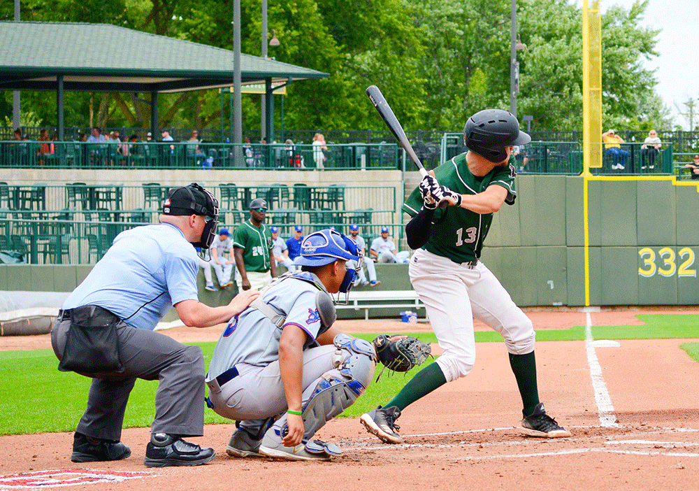 Great Lakes Loons