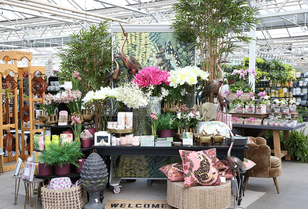Watson's gift display