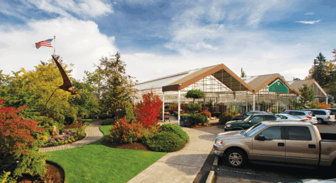 Watson's in Puyallup, WA