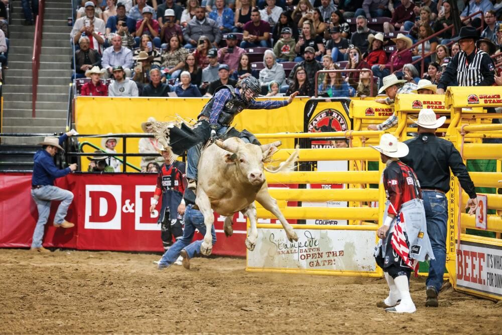 Cowboy riding bull at rodeo