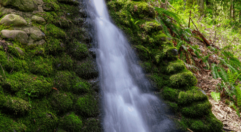 Waterfall along Wildwood Creek in Puyallup, WA
