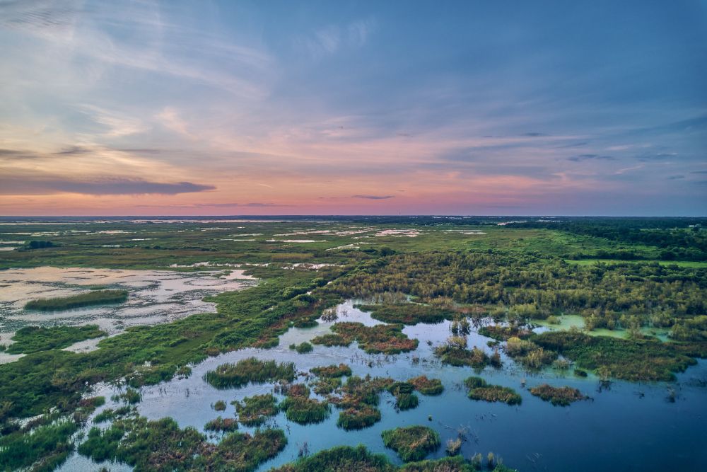 Sunset over Lake Apopka, Florida.