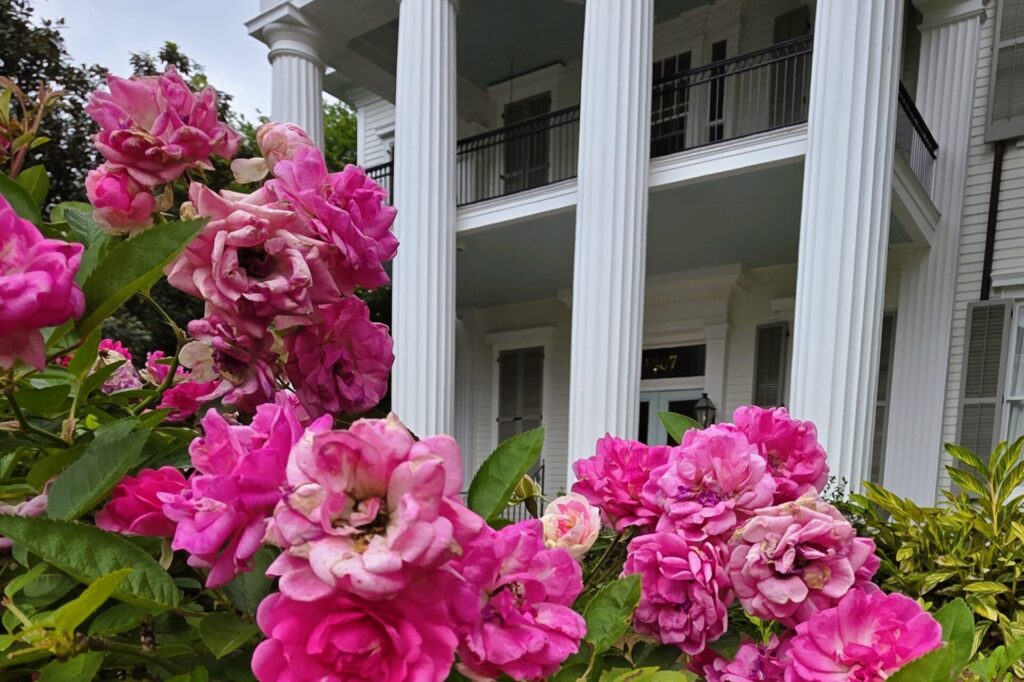 Garden District Greek Revival Home and Gardens