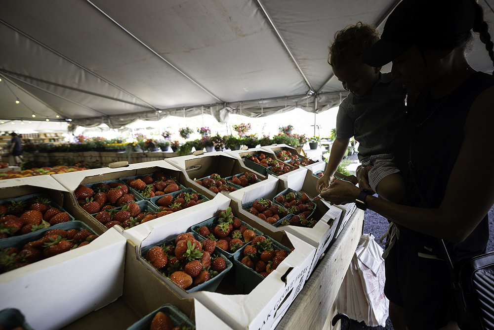 Seritha Stewart and her son Kai Roach, 2, buy freshly picked strawberries at the Oak Grove Farms market in Gallatin, TN.
