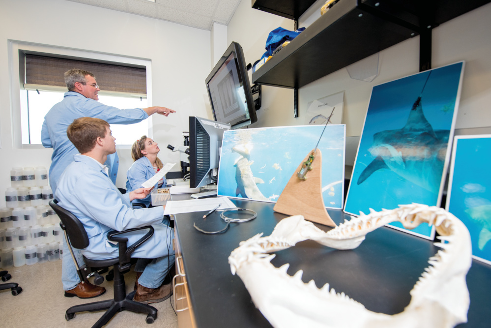 Texas A&M University-Corpus Christi Harte Research Institute