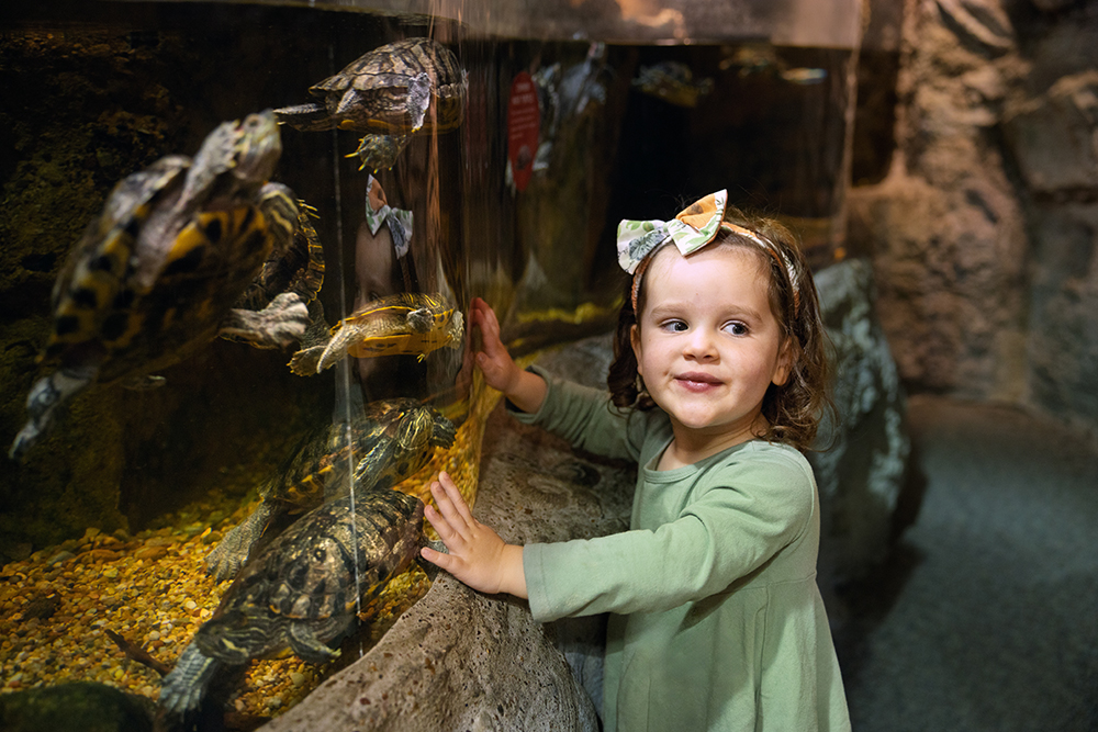 Visitors explore The Great Outdoors exhibit at the Discovery Center in Murfreesboro, TN.