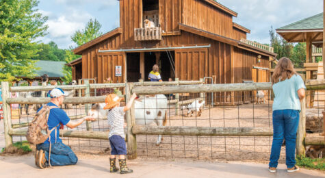 Lewis Adventure Farm and Zoo in Muskegon, MI