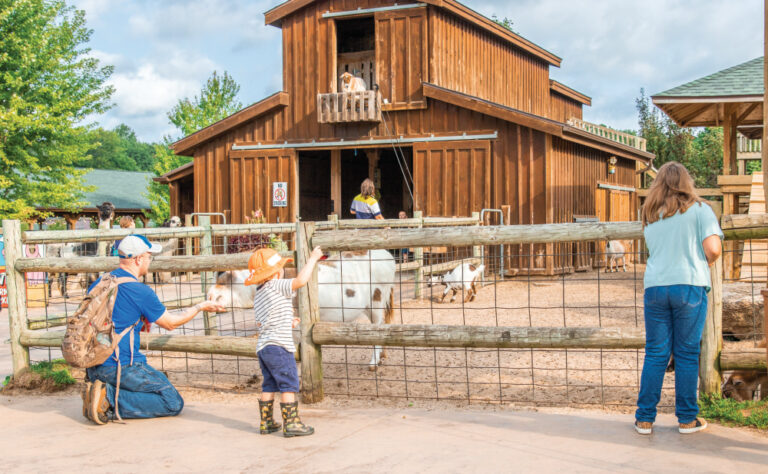 Lewis Adventure Farm and Zoo in Muskegon, MI
