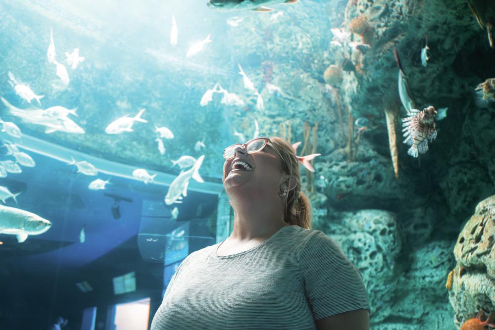 Visitor at an aquarium
