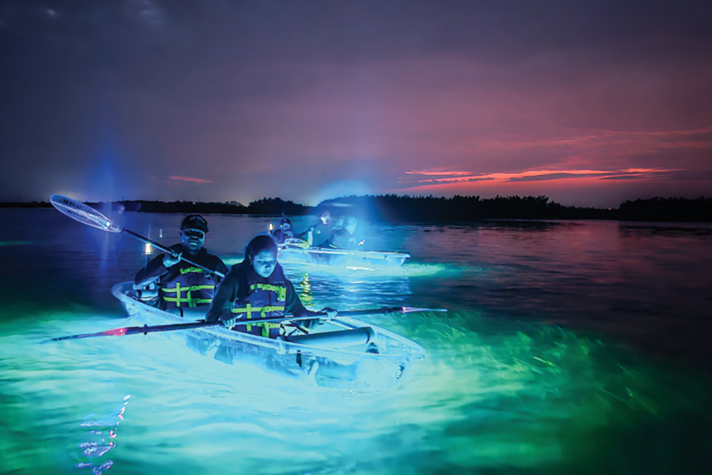 GlowRow Tours