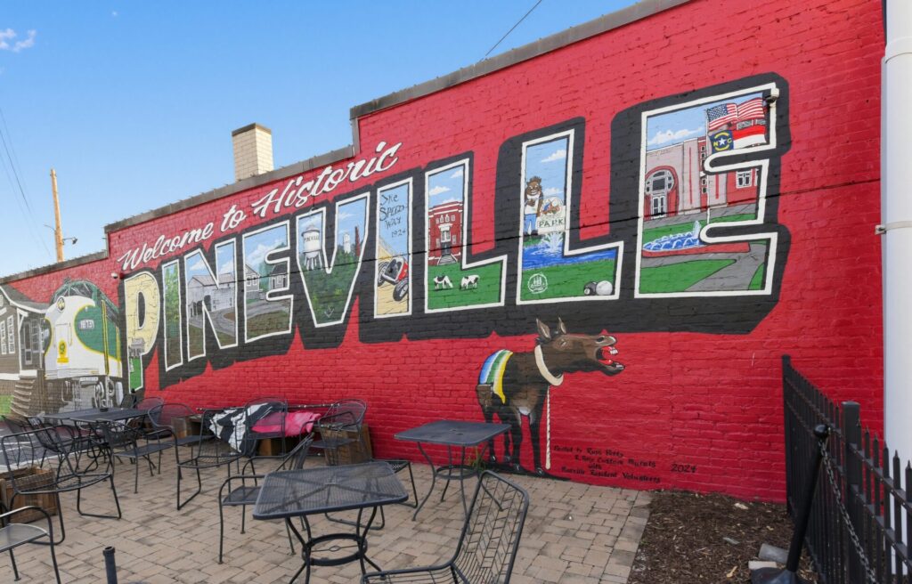 A mural painted on the side of The Dive N in Pineville, NC.