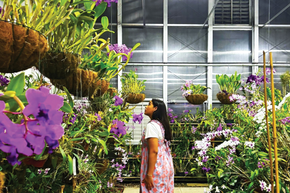 South Texas Botanical Gardens & Nature Center