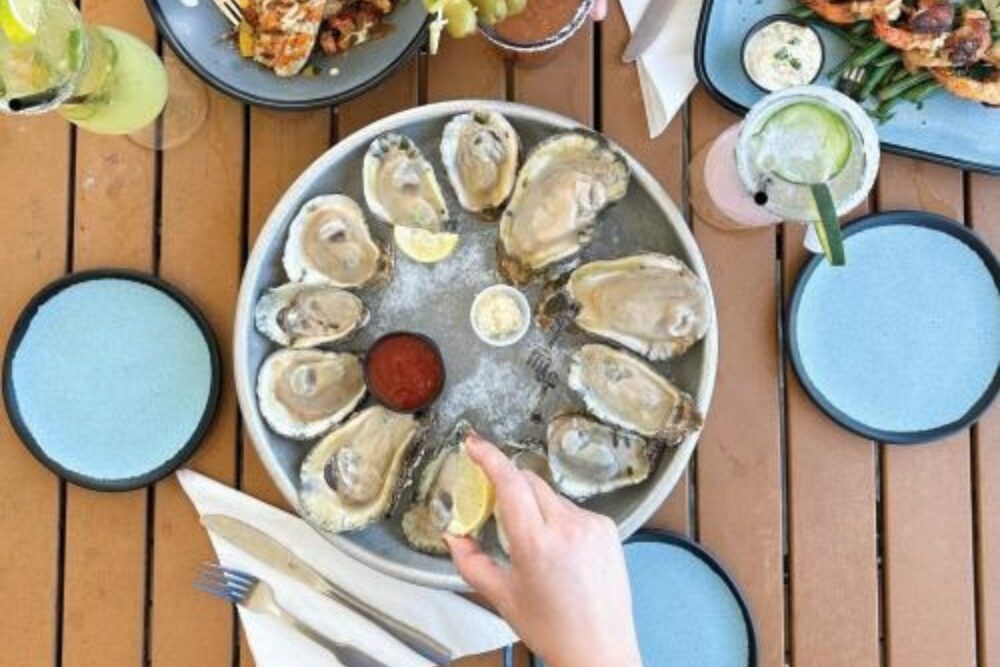 oysters and cocktails at a local Corpus Christi restaurant