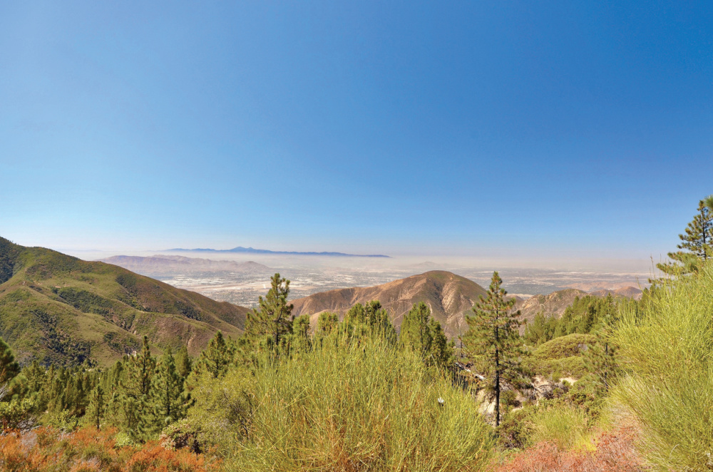 Lucerne Valley