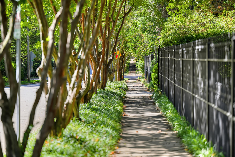 Hayes Barton neighborhood in Raleigh, NC
