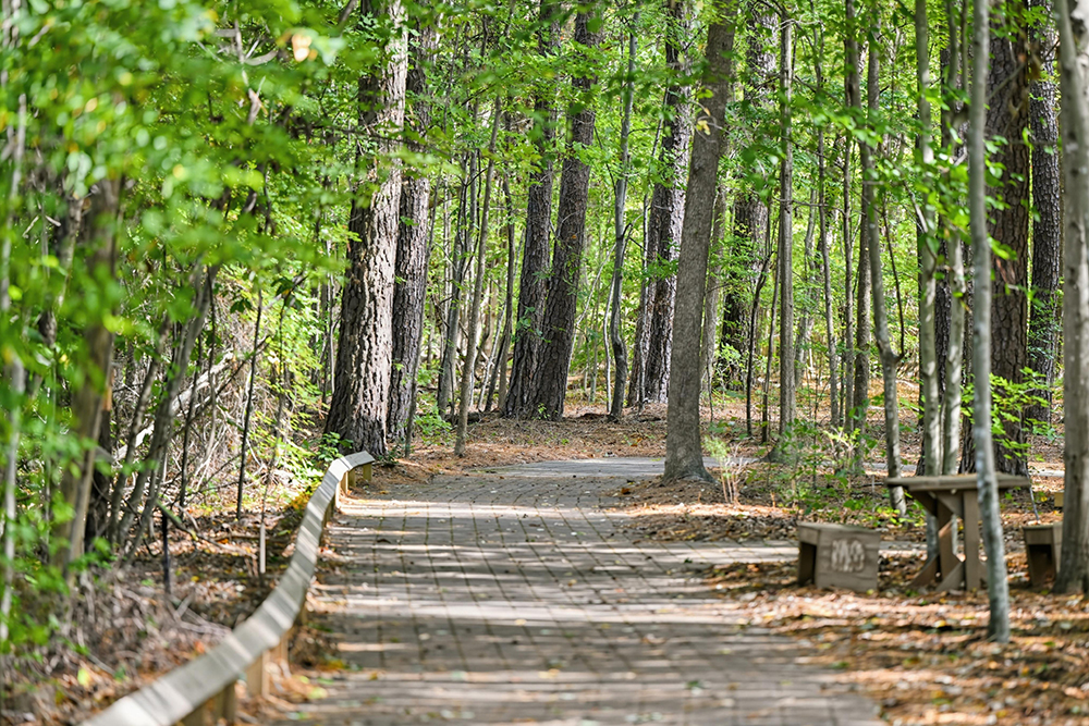 Hemlock Bluffs Nature Preserve in Cary, NC