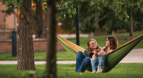 Saginaw Valley State University