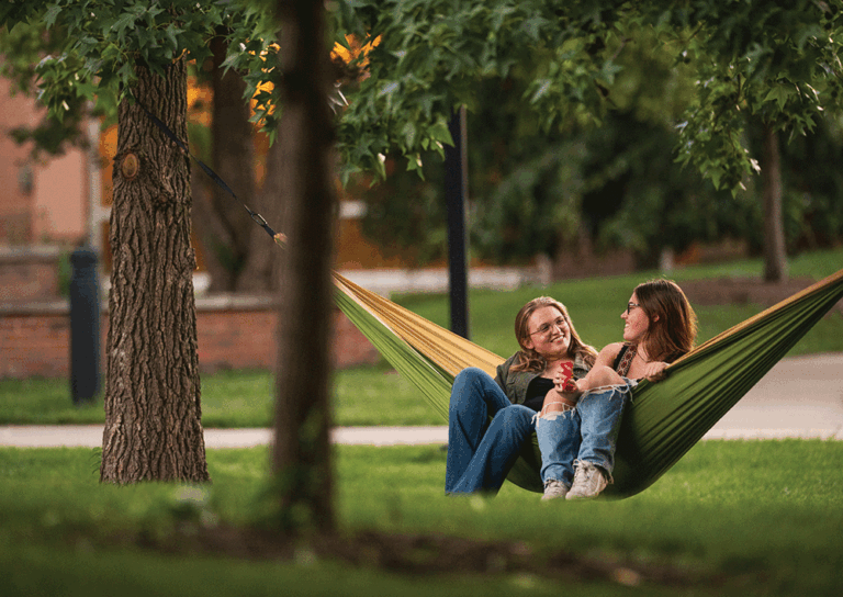 Saginaw Valley State University