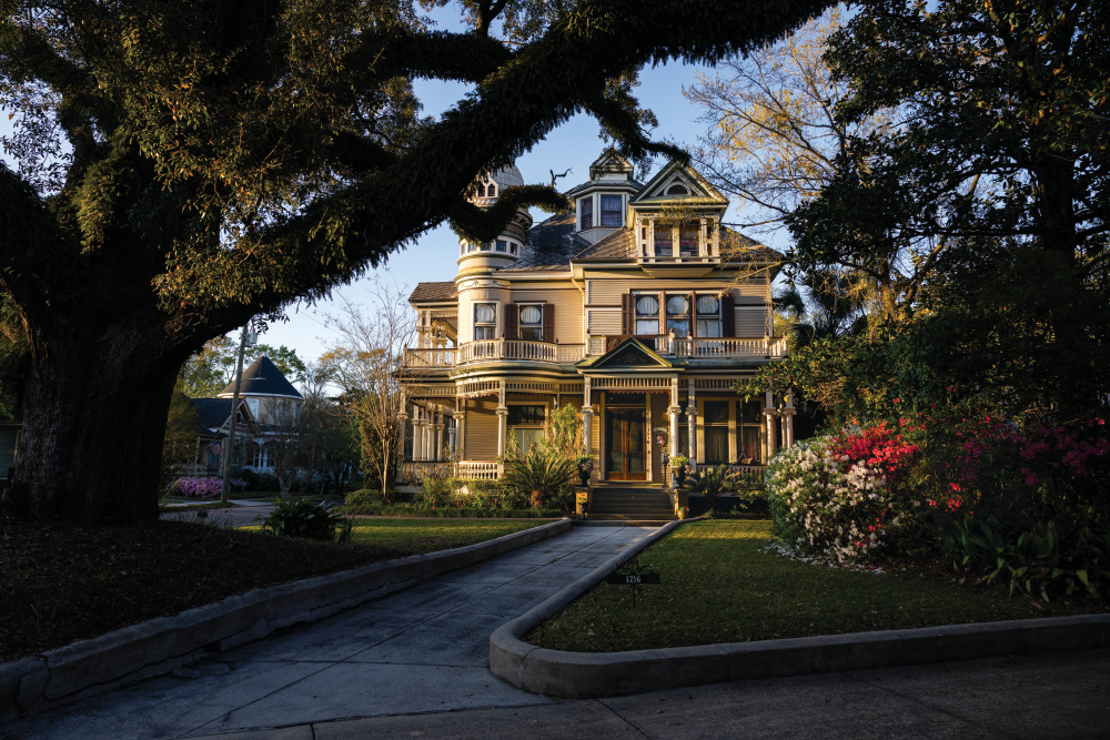 Historic homes surrounded by massive live oak trees in downtown Mobile, Alabama. 