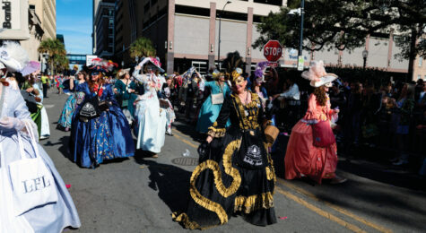 Mardi Gras celebration in Mobile, AL
