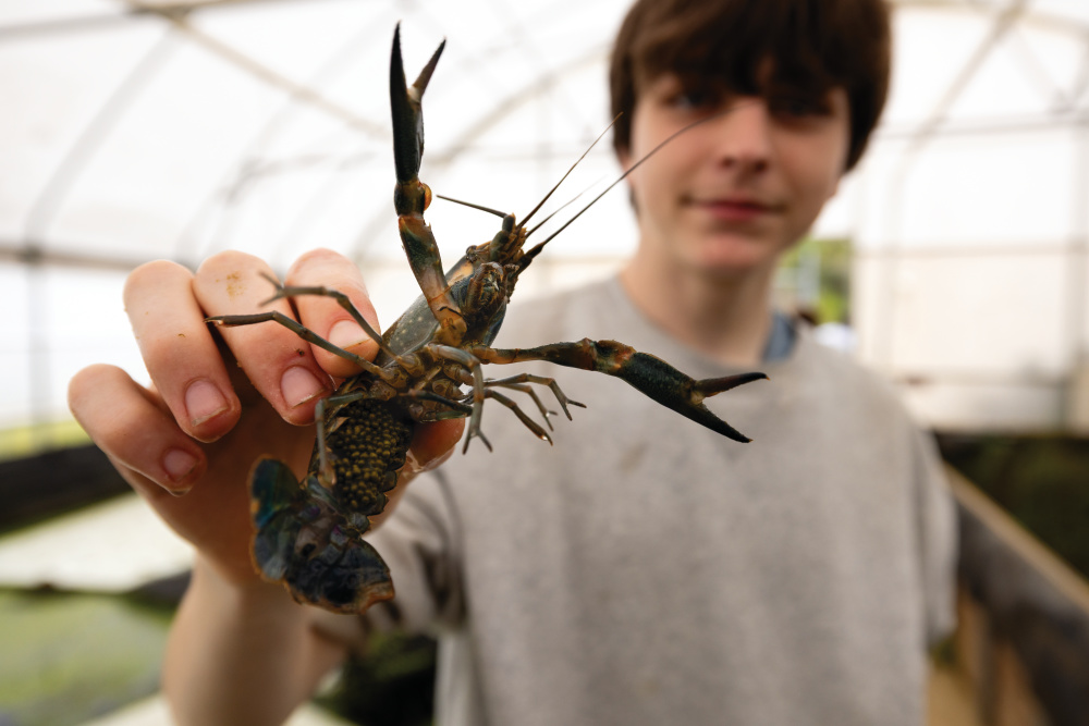 Michael Reynolds holds a crawfish raised in the agricultural program on campus at Alma Bryant High School in Irvington.